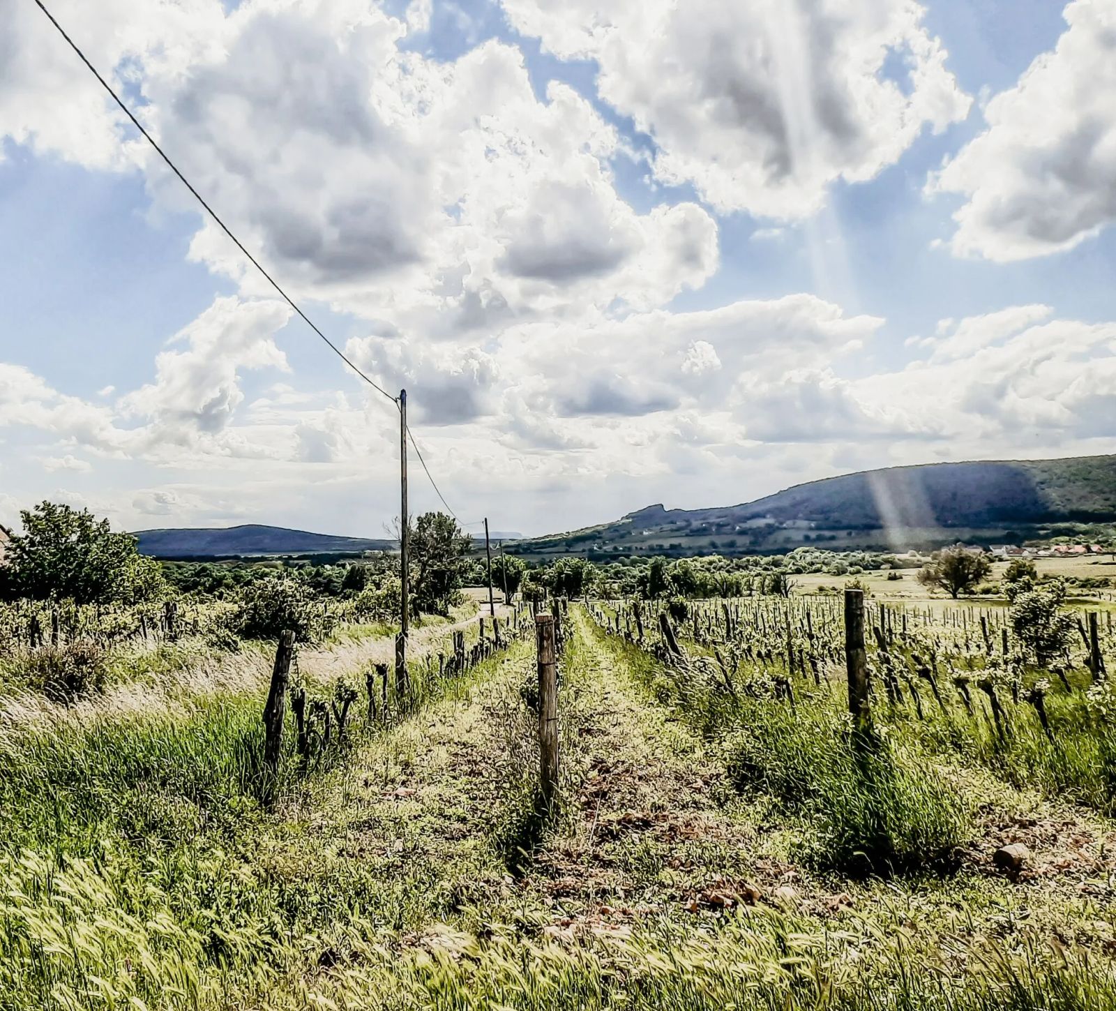 Reggeli a teraszon